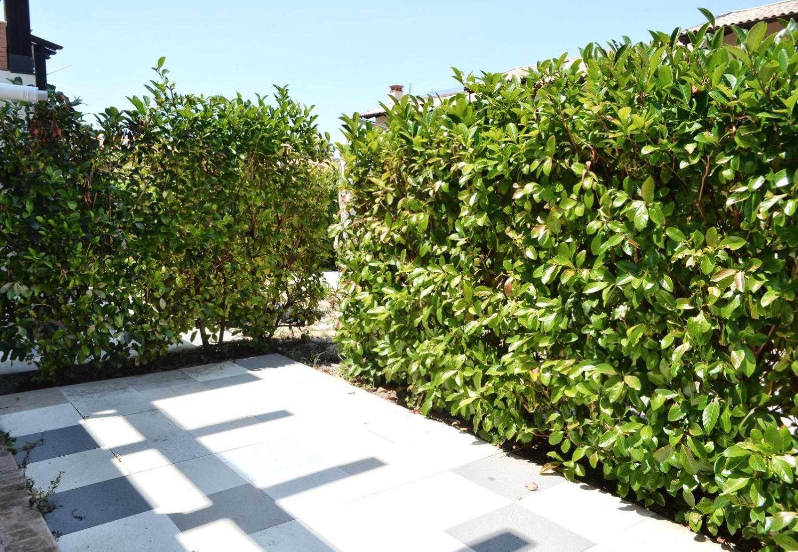 Le Case Del Carmine Con Giardino E Parcheggio A Tropea Exteriör bild