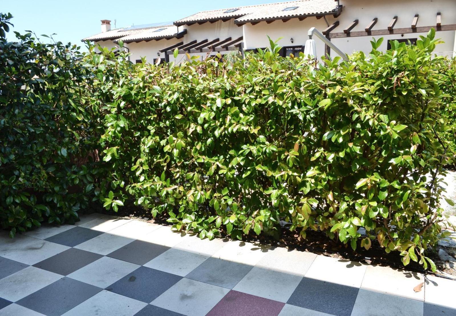 Le Case Del Carmine Con Giardino E Parcheggio A Tropea Exteriör bild